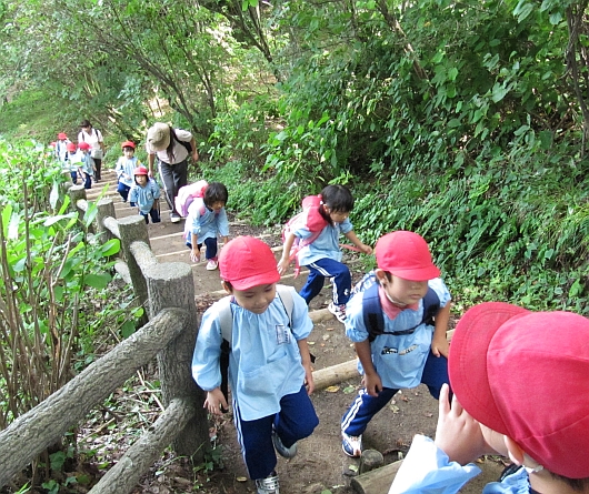 護摩堂山登山